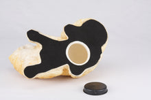 Cream & Light Orange Coat Shorthair Cat Figurine Pet Urn - Bottom