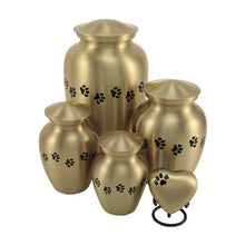 Classic Brass Paw Print Band Pet Medium Cremation Urn - Series