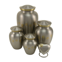 Pewter Brass Heart Keepsake Pet Urn with Classic Paw Print - Size