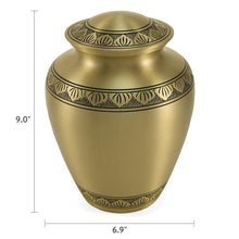 Eternal Athena Bronze Adult Cremation Urn - Dimensions