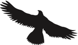 Birds/Eagle
