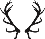 In the Wild/Antlers